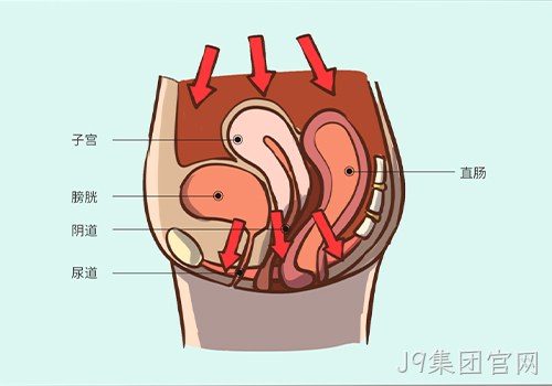 助力女性盆底功能健康发展，J9集团官网推出高频评估电灼仪